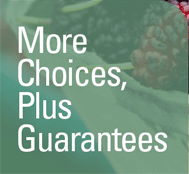 More Choices, Plus Guarantees