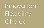 Innovation Flexibility Choice