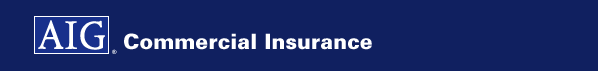 AIG Commercial Insurance