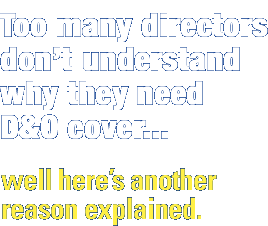 Too many directors don't understand why they need D&O. Well, here's another reason explained.