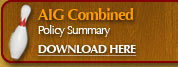 AIG Combined Policy Summary