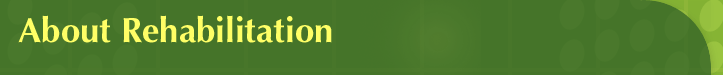 About Rehabilitation